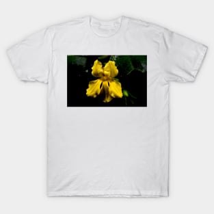 Hop Goodenia T-Shirt